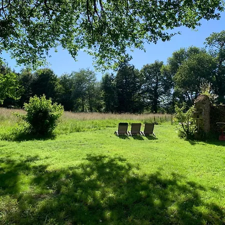 Le Grand Chene Et La Petite Chouette